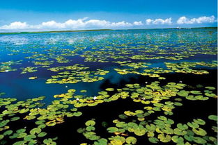 你的車除了用來上下班,還能做這件事 別錯過機會