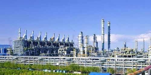 建設花園工廠，守護天山碧水——新疆獨山子石化公司以生態文明建設彰顯央企責任擔當