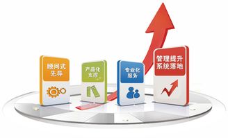 2019金慧軟件老客戶業務培訓周如火如荼地開展，助力信息咨詢服務升級