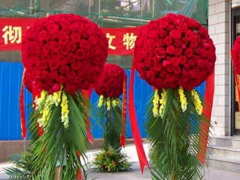 廣州白云區(qū)剪彩禮儀用品與開業(yè)花籃服務(wù) 花卉綠植租借全解析