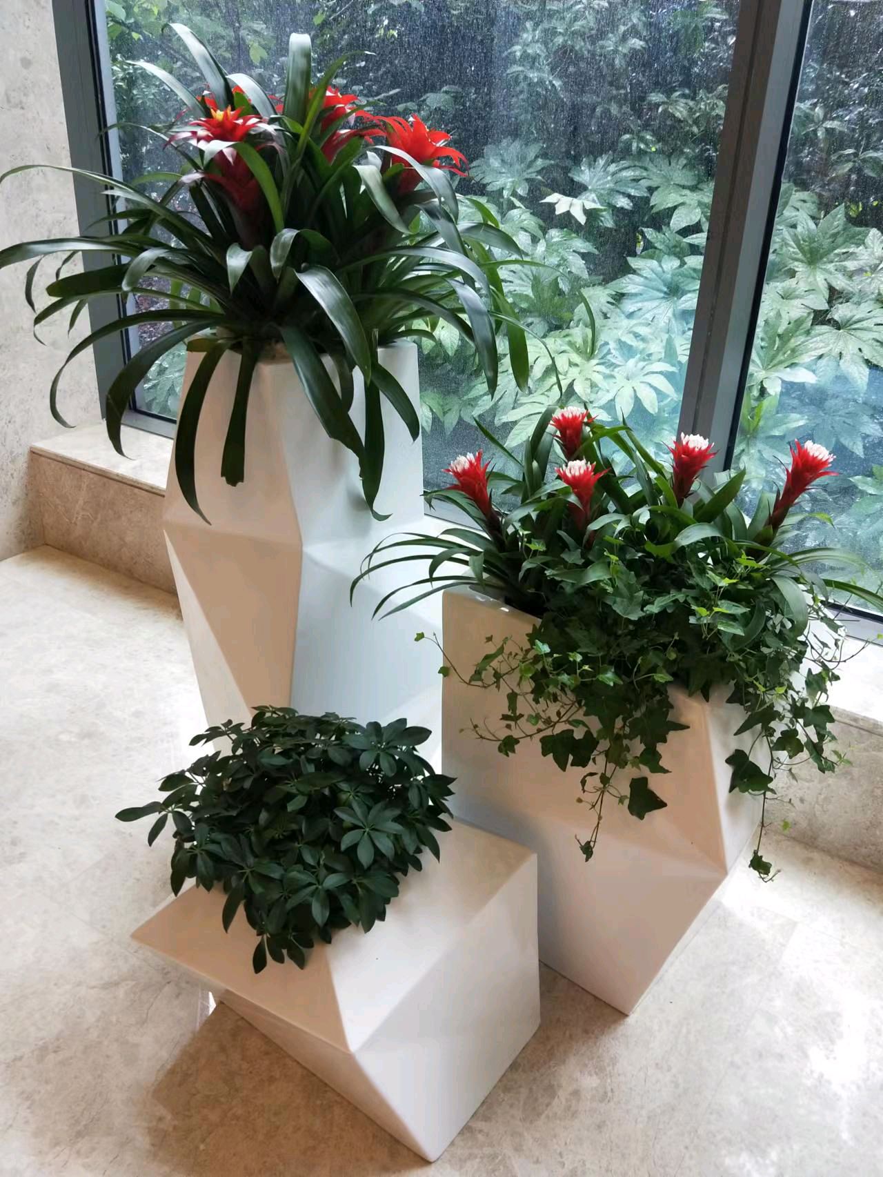 綠色生活，從專業(yè)租賃開始 一站式花卉綠植服務(wù)，打造詩(shī)意空間